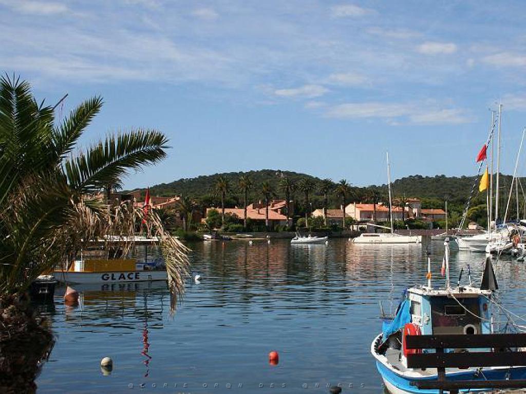 183 ILE DE PORQUEROLLES -1_000039.jpg